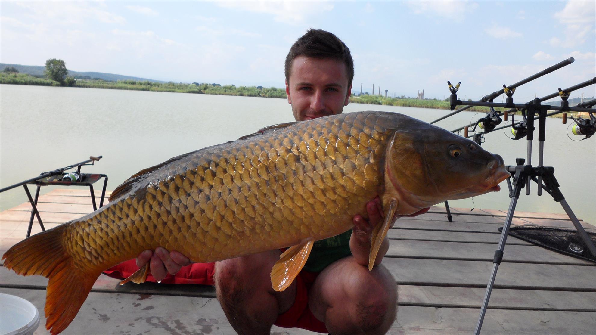 Pleasa 2013 - 12.20kg